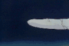 ingatanoz9.gif