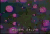sfoosmsge8.gif