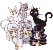 kitties.jpg